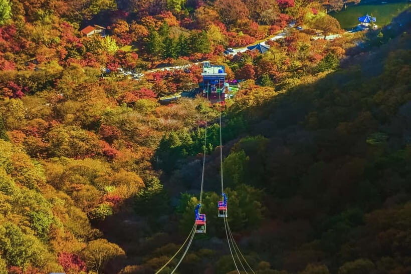 Naejangsan: Highlight of a Korean Autumn Day Trip from Busan - The Itinerary and What to Expect