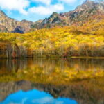 Nagano: private Tour with Snow Monkey Park & Zenko-ji Temple - The Practicalities