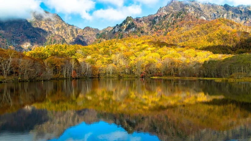 Nagano: private Tour with Snow Monkey Park & Zenko-ji Temple - The Practicalities