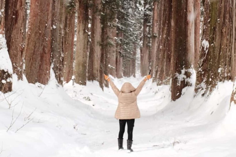 Nagano: Togakushi Shrine, Sake & Zenkoji Private Tour - Who Is This Tour Best For?