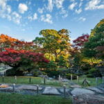 Nagasaki:Customizable Nagasaki City Walk Private Guided Tour - Who Will Love This Tour?