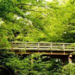 Nagoya Industry and History Tour - The Itinerary Breakdown: What to Expect