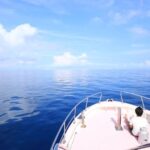 Naha, Okinawa: Kerama Islands Half-Day Whale Watching Tour - What to Expect During Your Whale Watching Adventure