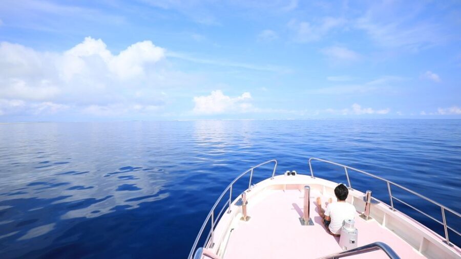 Naha, Okinawa: Kerama Islands Half-Day Whale Watching Tour - What to Expect During Your Whale Watching Adventure