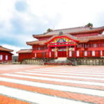 Naha: Okinawa Tour with Shuri Castle and Shikinaen Garden - Who Will Love This Tour?