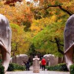 Nanjing Private Flexible Day Tour with Professional Guide and Driver Service - Detailed Breakdown of the Itinerary