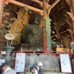 Nara City Tour | Explore Temples, Park & Local Highlights - Exploring Nara Park