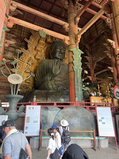 Nara City Tour | Explore Temples, Park & Local Highlights - Exploring Nara Park