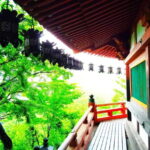 Nara: Discover a Giant Stone Buddha in the Forest Hills - Practical Details and What to Expect