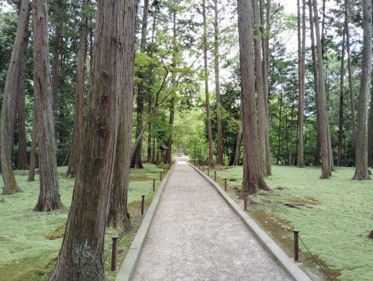 Nara: Hidden World Heritage  Yakushi-ji & Toshodai-ji (3H) - What to Expect from the Tour