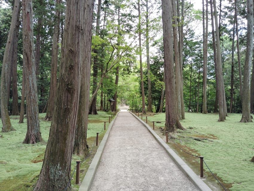 Nara: Hidden World Heritage  Yakushi-ji & Toshodai-ji (3H) - What to Expect from the Tour