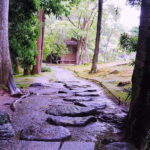 Nara: Isuien Garden Tour with Matcha Tea Experience - Practical Details and Value