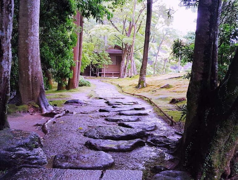 Nara: Isuien Garden Tour with Matcha Tea Experience - Practical Details and Value