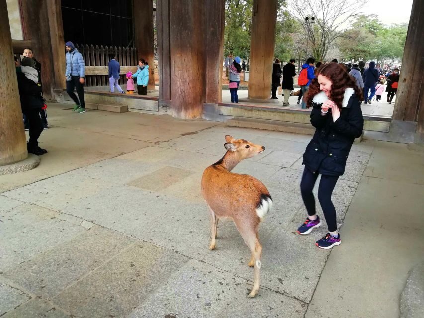 Nara: Nara Park Private Family Bike Tour with Lunch - What Makes This Tour Truly Valuable?