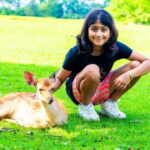 Nara: private walking tour with Deer and Temples - Why This Tour Offers Great Value