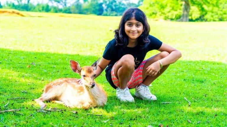 Nara: private walking tour with Deer and Temples - Why This Tour Offers Great Value