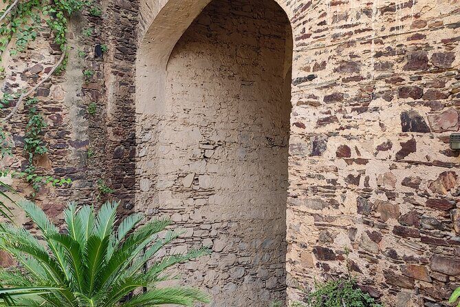 Neemrana Fort visit with Lunch From Delhi - What Do Reviewers Say?