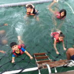 Negeri Sembilan: Dragon Sunset Cruise Ticket - Who Will Love This Experience?