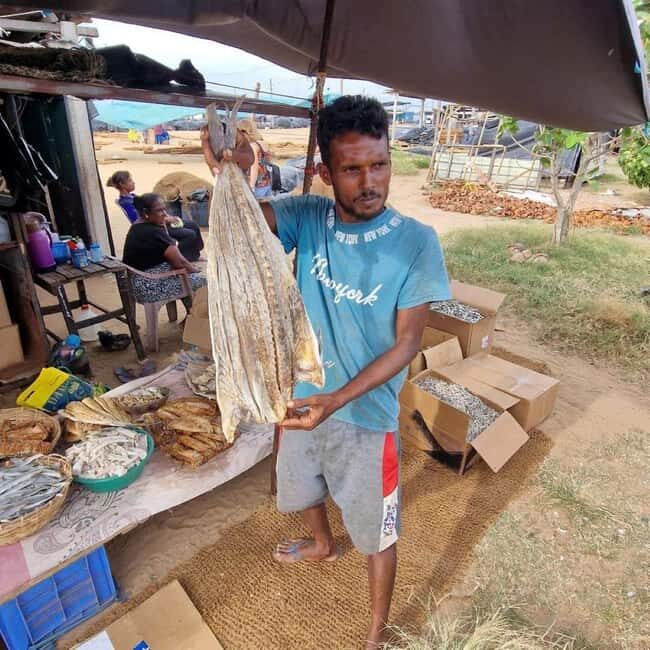 Negombo by Scooty: Ride Through the Citys Best Spots - Exploring the Highlights