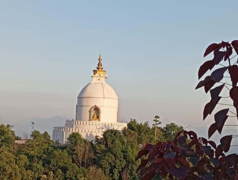 Nepal: 7-Day Buddhist Pilgrimage Tour - Exploring the Itinerary: What You’ll Experience