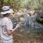 New Delhi: Jim Corbett National Park Safari (Tiger) Spotting - Exploring Jim Corbett National Park: What You Can Expect