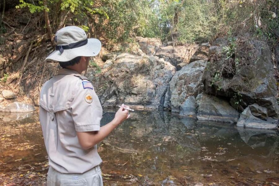 New Delhi: Jim Corbett National Park Safari (Tiger) Spotting - Exploring Jim Corbett National Park: What You Can Expect