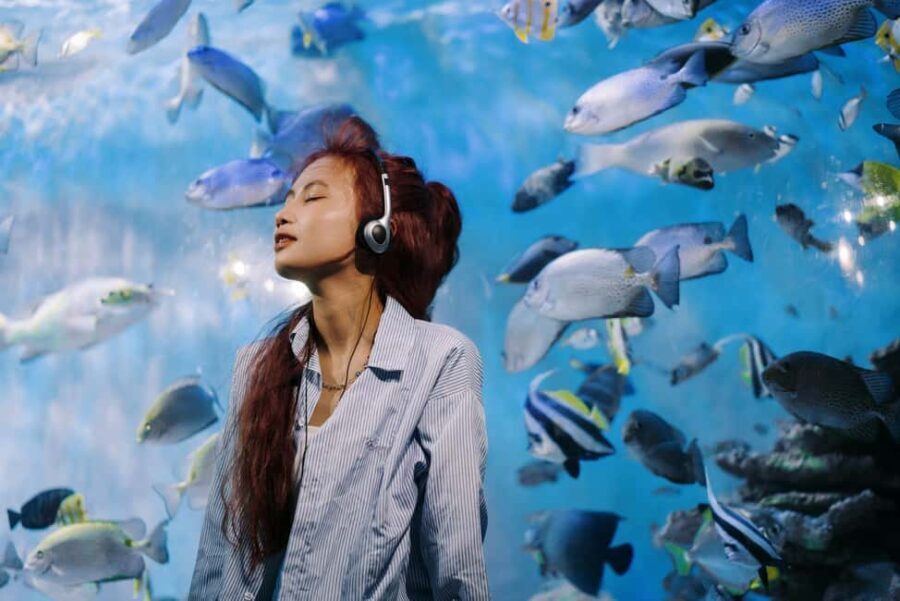 Nha Trang: City Highlights Tour with Local Guide - Detailed Breakdown of the Itinerary