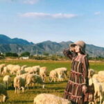 Nha Trang Ninh Thuan: Coral Coast, Grape Gardens, Suoi Tien - A Complete Breakdown of the Tour Experience