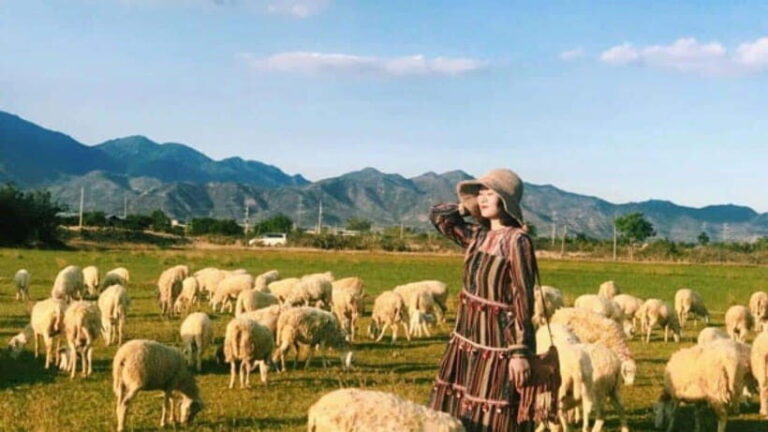 Nha Trang Ninh Thuan: Coral Coast, Grape Gardens, Suoi Tien - A Complete Breakdown of the Tour Experience