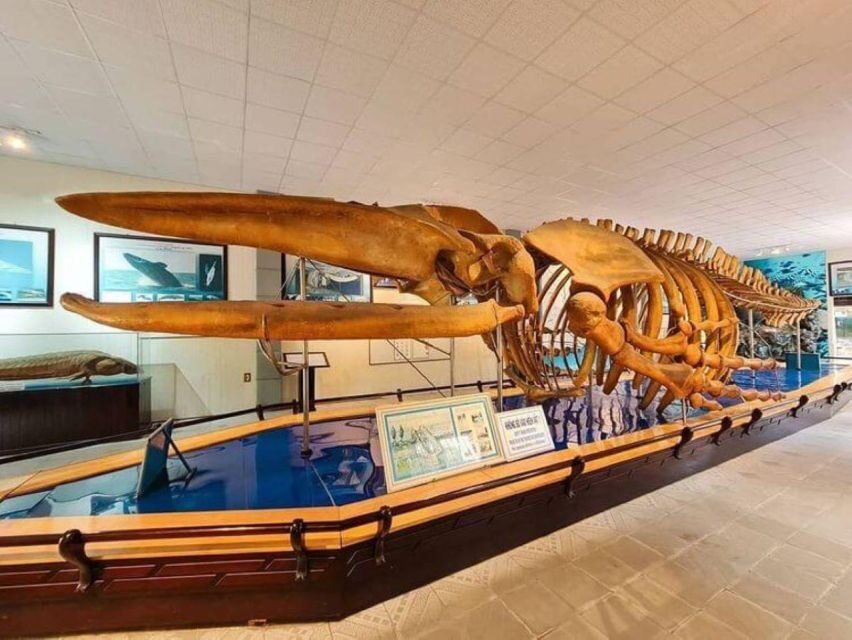 Nha Trang Private Half-Day City Tour - Detailed Breakdown of the Itinerary