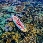 Nha Trang Scuba Diving Tour With Coral Reef & Luxury Lunch - The Island and the Lunch with a View