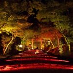 Night Gagaku Concert at Hiyoshi Taisha Shrine - Final Thoughts