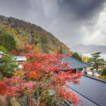 Nikko  Beautiful Full-Day Personal and Private Tour - Highlights from the Reviews