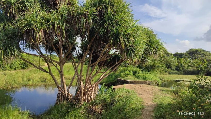 Nilaveli: Crocodile Lake with Lagoon Boat Safari - What to Expect During the Tour