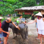Ninh Binh : Countryside Tour by Motorcycle - Buffalow Riding - A Detailed Look at the Itinerary