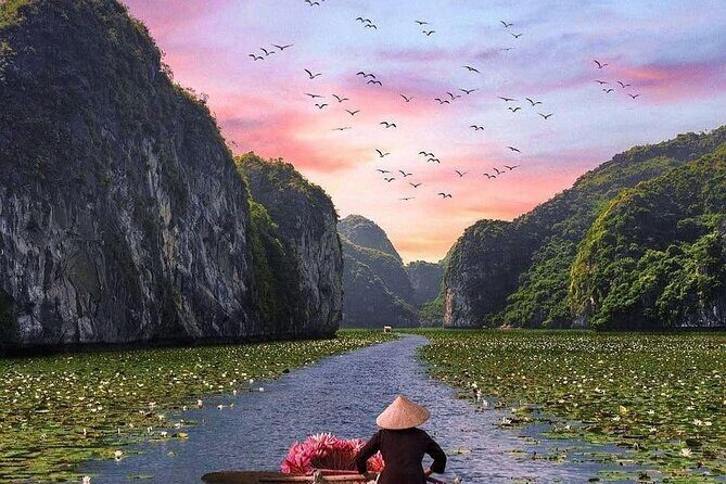 Ninh Binh Day Tour Hoa Lu,Bai Dinh Trang An,Tam Coc, Mua Cave - The Experience in Practice