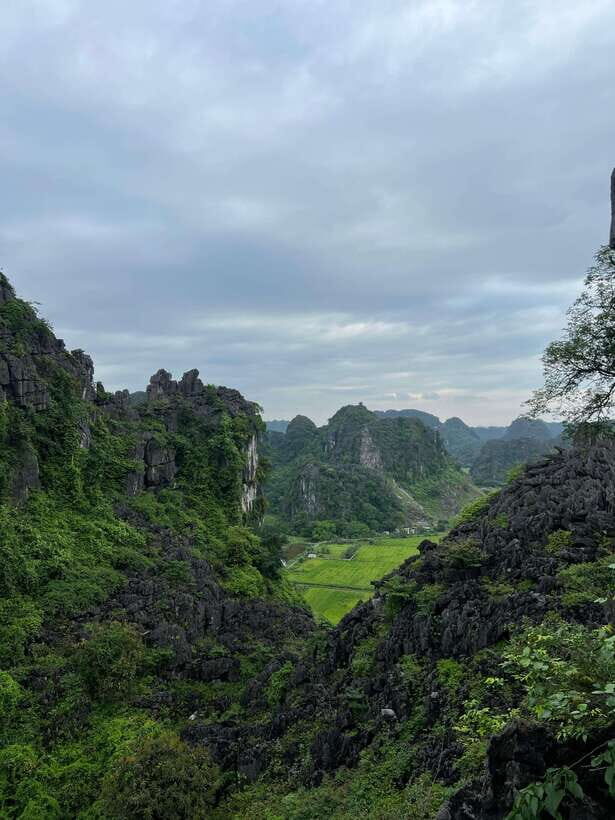 Ninh Binh Hoa Lu, Tam Coc Boat Ride, Mua Cave Hiking Tour - Tam Coc: The Land of Limestone and Rice Fields