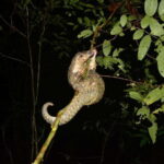 Ninh Binh Thung Nham, Cuc Phuong National Park 2 Day Tour - Day 1: Unveiling Ancient History and Spiritual Serenity