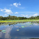 None Shopping Mekong Delta Tan Lap Floating Village Tour - What’s Included and What to Keep in Mind