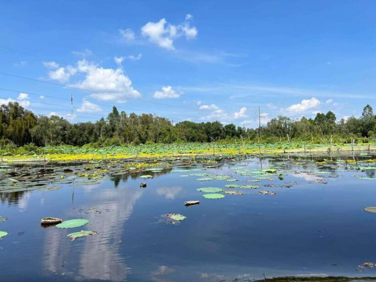 None Shopping Mekong Delta Tan Lap Floating Village Tour - What’s Included and What to Keep in Mind