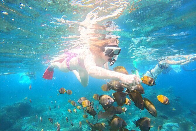 Nusa Penida Private Snorkeling and Land Tour Start from Bali - Highlights of the Tour