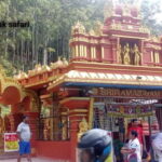 Nuwara Eliya: Sightseeing Tour and Drop With Local Guide - Practical Details: Transportation, Duration, and Group Size