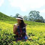 Nuwara Eliya to Kandy: Transfer with Waterfall & Tea Tour - Who Will Love This Tour?