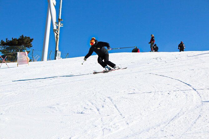 [OFFICIAL] Eden Valley Resort Winter Ski Day Tour from Busan - Is This Tour Right for You?