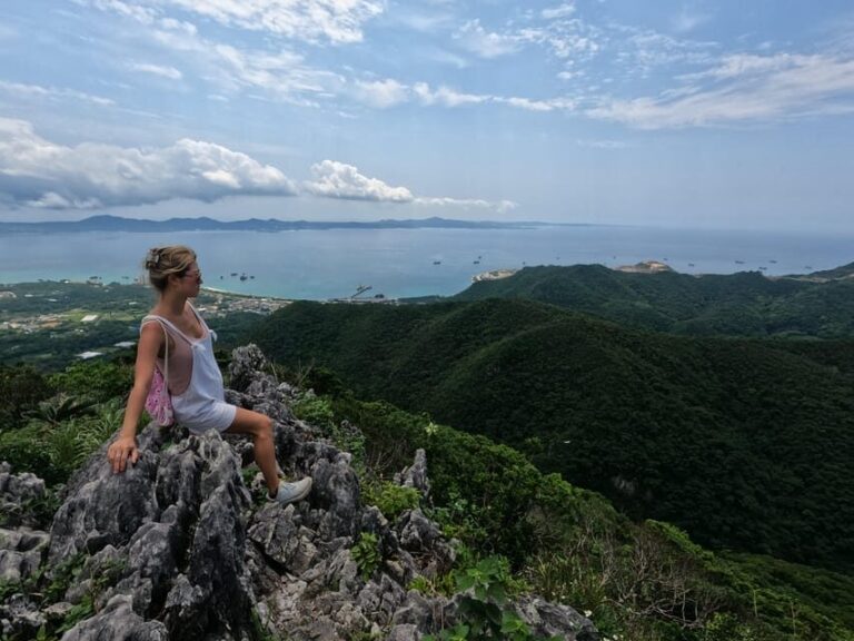 Okinawa Private Gorgeous Beach & Snorkel tour Native English - An In-Depth Look at the Okinawa Private Beach & Snorkel Tour