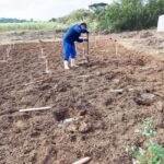 Okinawa: Traditional farming experience & cooking and a meal - An In-Depth Look at What You Can Expect