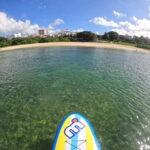 Okinawa: West Coast Stand-Up Paddleboarding Experience - The Experience: What Makes It Special