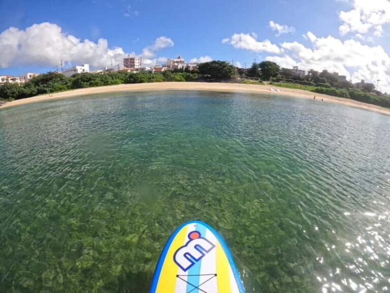 Okinawa: West Coast Stand-Up Paddleboarding Experience - The Experience: What Makes It Special