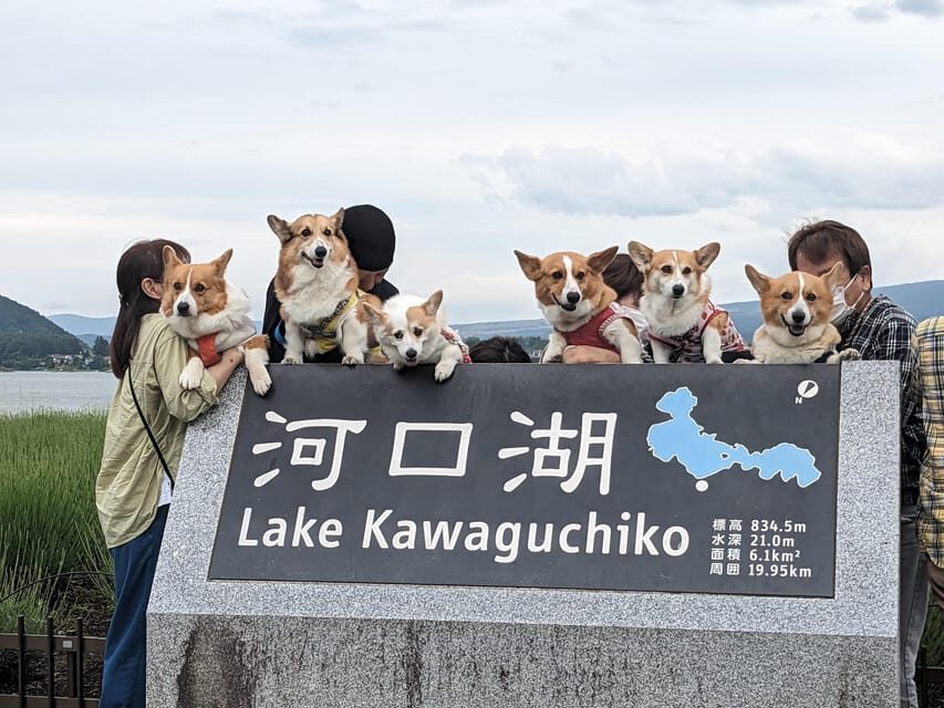 One Day 10hrs Mount Fuji Tour English Speaking Driver - The Experience in Detail: What to Expect on This Mount Fuji Tour