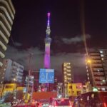 One Day Private Tour of Tokyo Famous Places - Authentic Experiences and Real Feedback